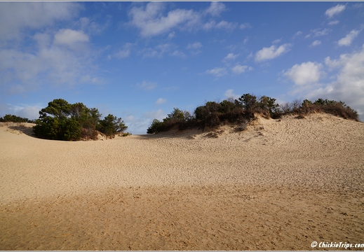 North Carolina - Outer Banks - Jockey Ridge State Park - Day 8 013