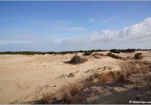 North Carolina - Outer Banks - Jockey Ridge State Park - Day 8 018