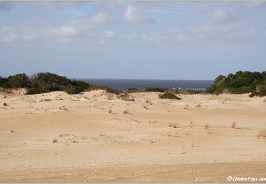 North Carolina - Outer Banks - Jockey Ridge State Park - Day 8 020