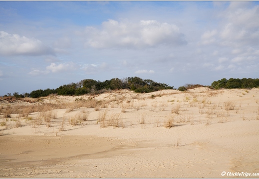 North Carolina - Outer Banks - Jockey Ridge State Park - Day 8 022