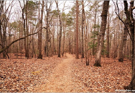 North Carolina - Raven Rock State Park - Day 7 072