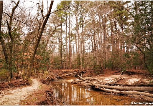 North Carolina - Raven Rock State Park - Day 7 082