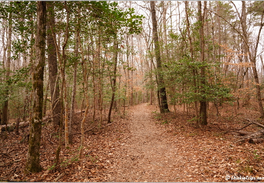 North Carolina - Raven Rock State Park - Day 7 086