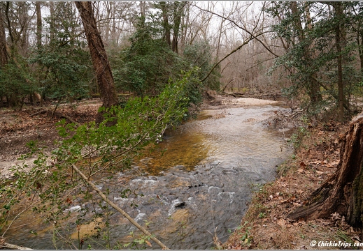 North Carolina - Raven Rock State Park - Day 7 094
