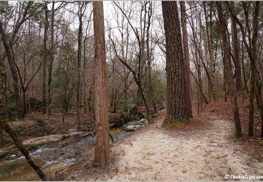 North Carolina - Raven Rock State Park - Day 7 099