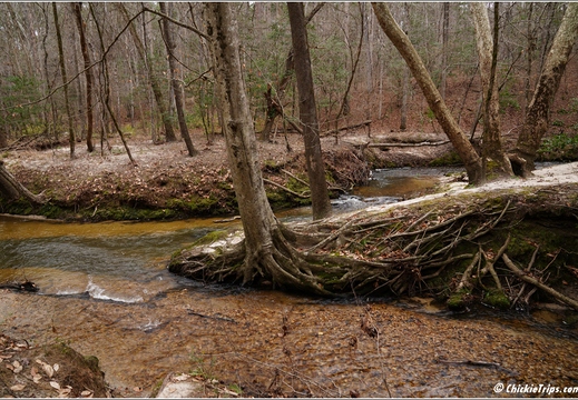 North Carolina - Raven Rock State Park - Day 7 105