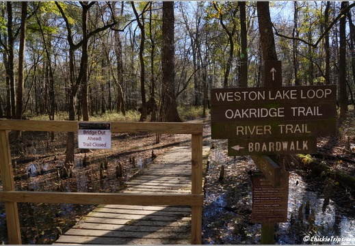 South Carolina - Congree National Park Day 5 215
