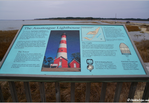 Virginia - Chincoteague National Wildlife Refuge - Day 9 262