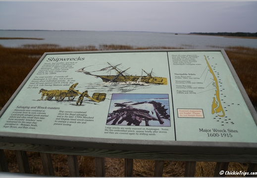 Virginia - Chincoteague National Wildlife Refuge - Day 9 263