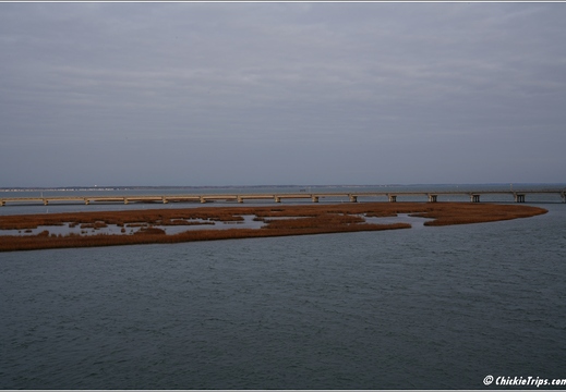 Virginia - Chincoteague Waterfront - Day 9 285