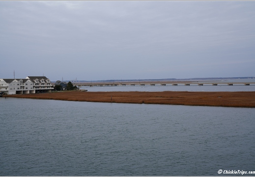Virginia - Chincoteague Waterfront - Day 9 287