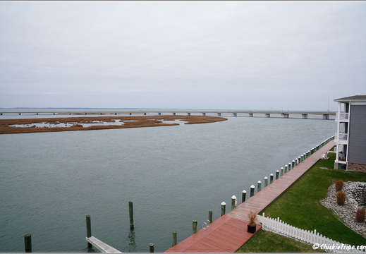 Virginia - Chincoteague Waterfront - Day 9 288