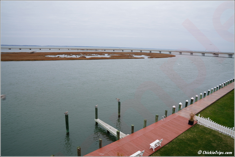 Virginia_-_Chincoteague_Waterfront_-_Day_9_289.jpg