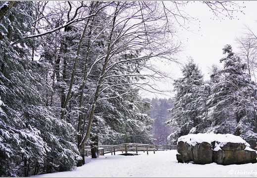 West Virginia - Blackwater Falls Day 2 317