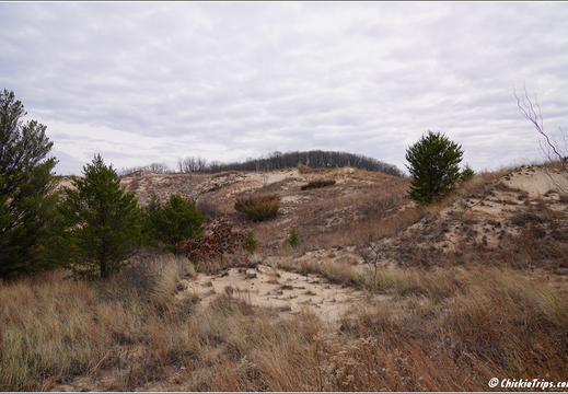 Indiana Dunes National Park 0003