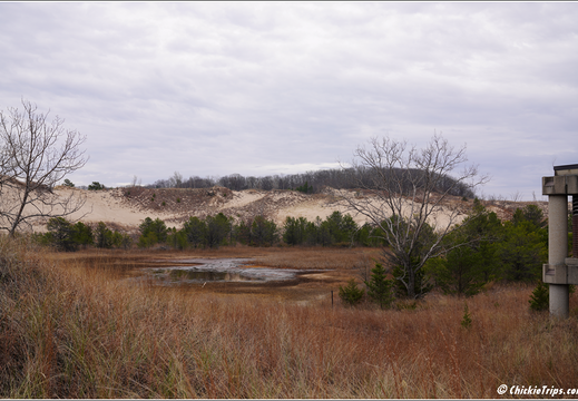 Indiana Dunes National Park 0015