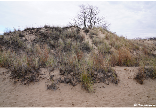 Indiana Dunes National Park 0024