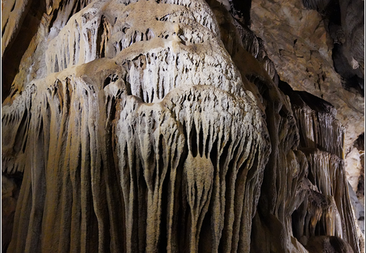 Mammoth Cave National Park 0015