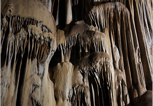Mammoth Cave National Park 0018
