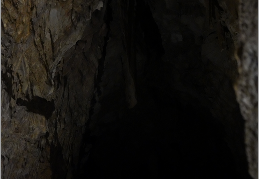 Mammoth Cave National Park 0024