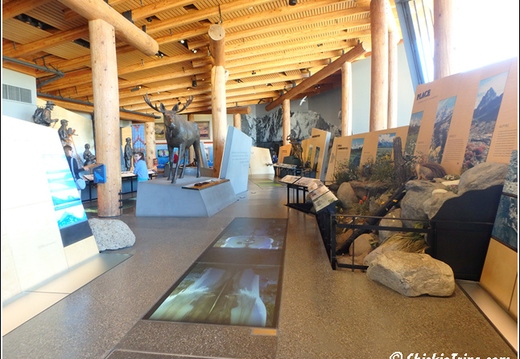 10 - Grand Teton National Park - Day 4 012