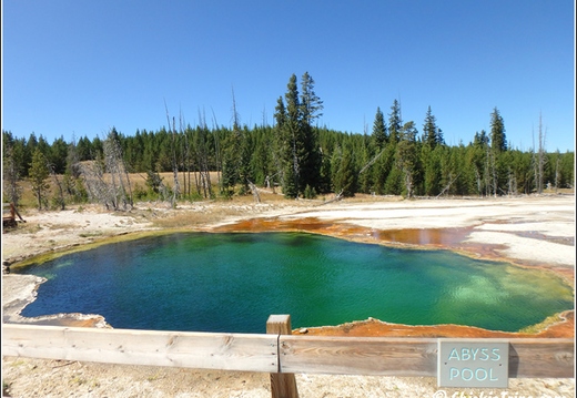 11 - Yellowstone - Wyoming - Day 5 011