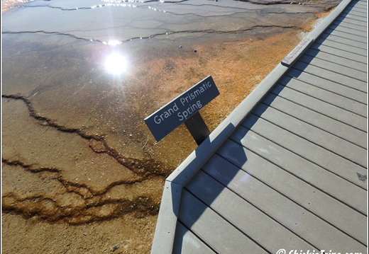 11 - Yellowstone - Wyoming - Day 5 019