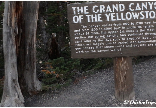 11 - Yellowstone - Wyoming - Day 5 029