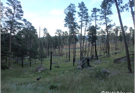 12 - Devils Tower - Wyoming - Day 6 016