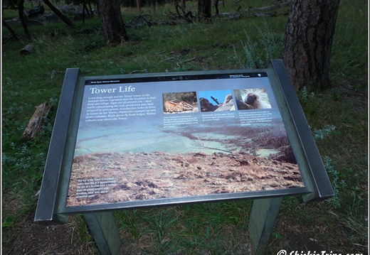 12 - Devils Tower - Wyoming - Day 6 018