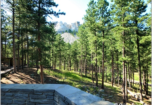 14 - Mount Rushmore - Day 7 005