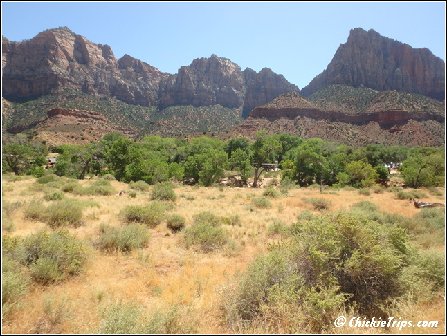4_-_Zion_National_Park_001.jpg