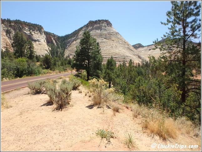 4_-_Zion_National_Park_015.jpg