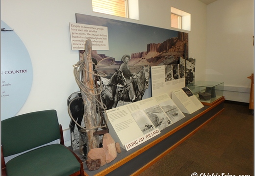 8 - Canyonlands National Park 004