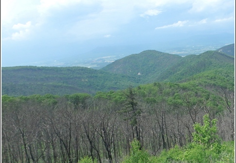 Shenandoah Luray Grand Caverns - Skyline Dr -BlueRidge Parkway 045