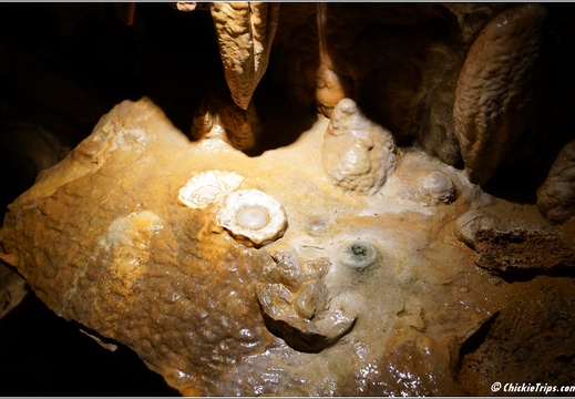 Virginia - Luray Caverns 099
