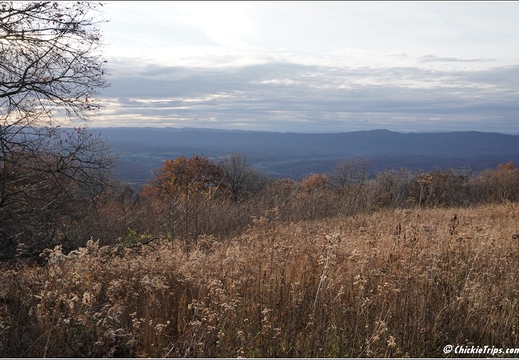 Virginia - Shenandoah National Park - Skyline Drive - Skyland Lodge 004