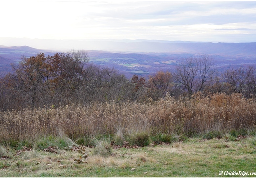 Virginia - Shenandoah National Park - Skyline Drive - Skyland Lodge 006