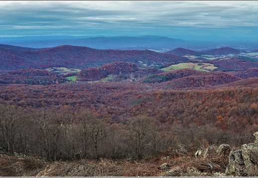 Virginia - Shenandoah National Park - Skyline Drive - Skyland Lodge 019