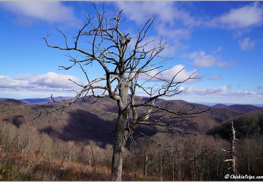 Virginia - Shenandoah National Park - Skyline Drive - Skyland Lodge 047