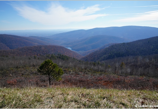 Virginia - Shenandoah National Park - Skyline Drive - Skyland Lodge 083