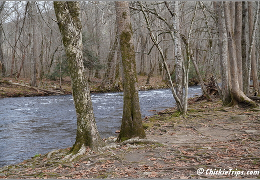 North Carolina - Oconaluftee Visitor Center Great Smoky Mountains National Park 84