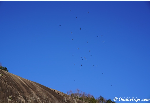 North Carolina - Stone Mountain State Park Waterfall 110