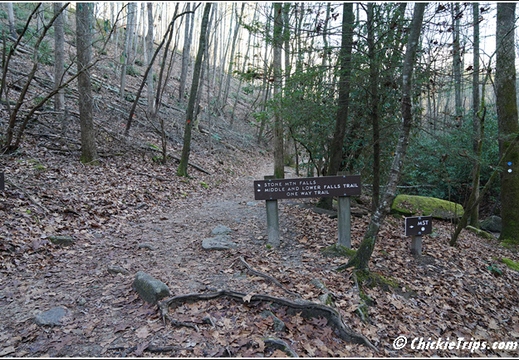 North Carolina - Stone Mountain State Park Waterfall 116