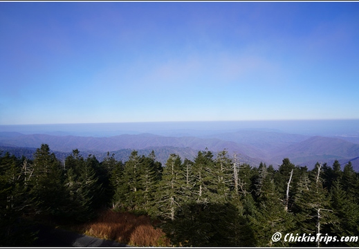 Tennessee - Clingmans Dome Great Smoky Mountains National Park 134