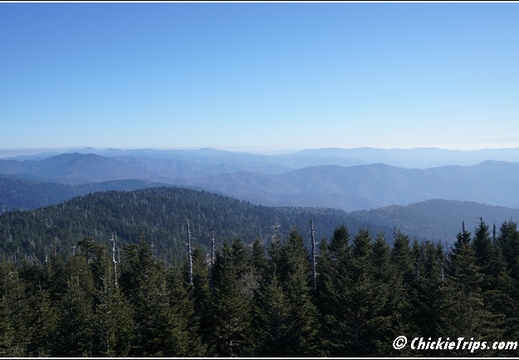 Tennessee - Clingmans Dome Great Smoky Mountains National Park 145