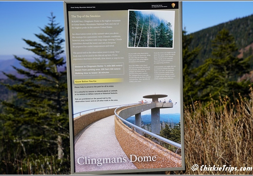 Tennessee - Clingmans Dome Great Smoky Mountains National Park 157