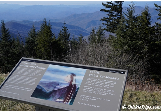 Tennessee - Clingmans Dome Great Smoky Mountains National Park 162