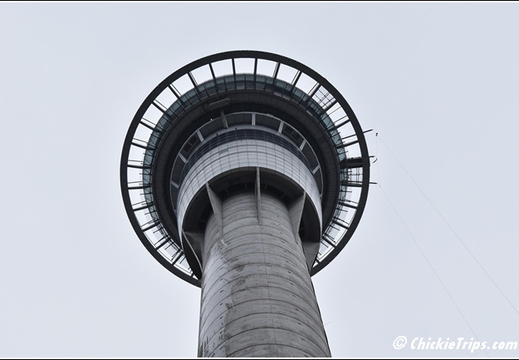 Day 01 - Auckland Nz - Dec 20 010