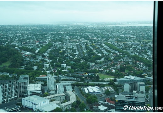 Day 01 - Auckland Nz - Dec 20 019